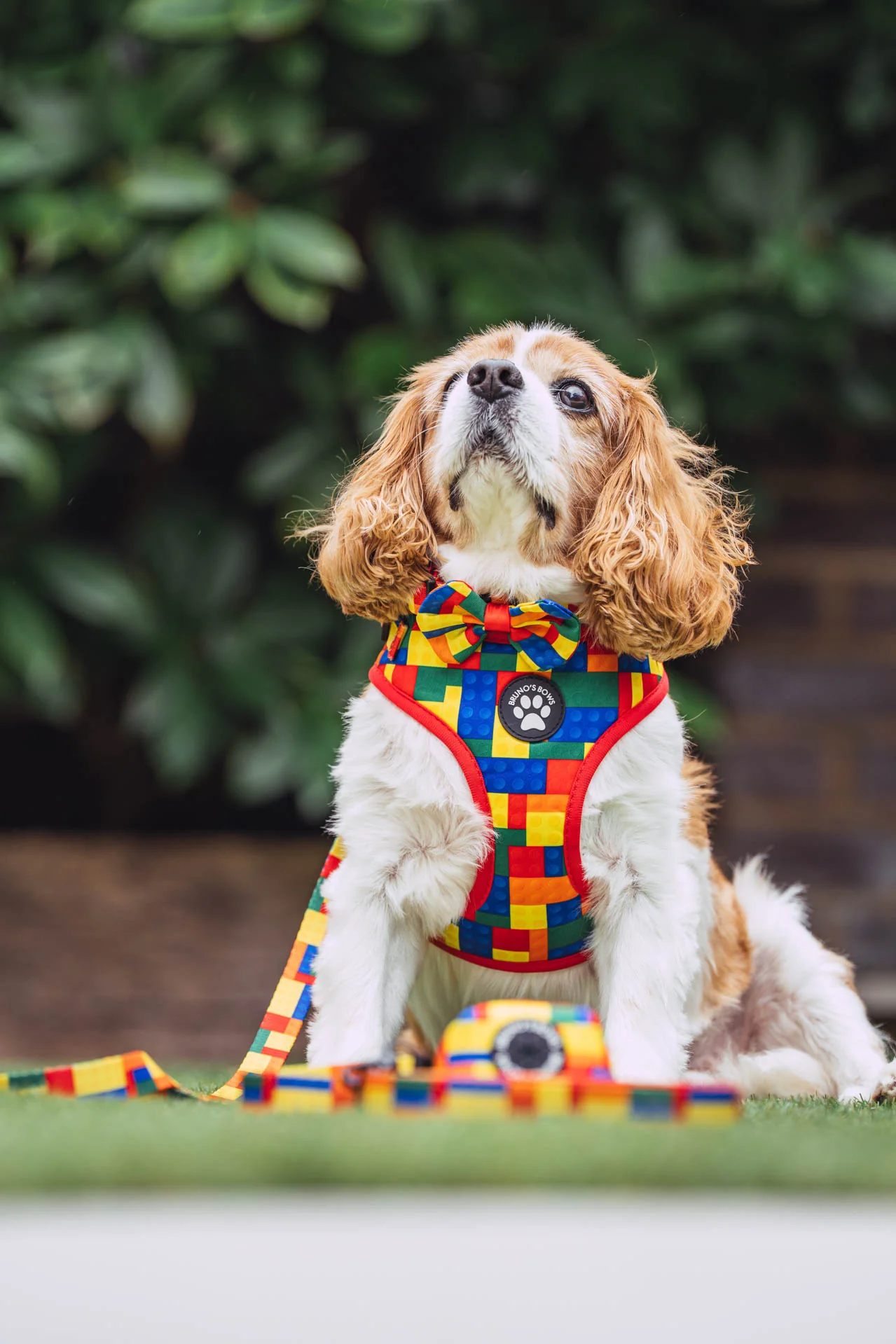 Brick MaxComfort Dog Harness - Image 3