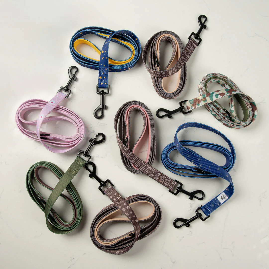 BB Paw Lead - Image 3